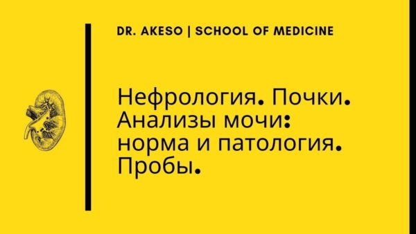 Индикаторы заболеваний почек в анализе мочи